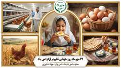 17 مهر روز جهانی تخم‌مرغ گرامی باد